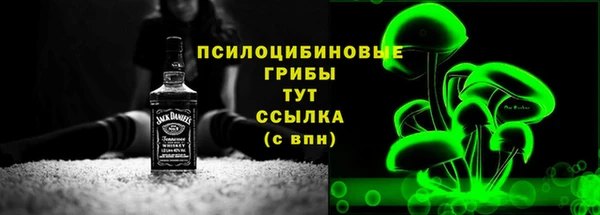 ГАЛЛЮЦИНОГЕННЫЕ ГРИБЫ Лиски